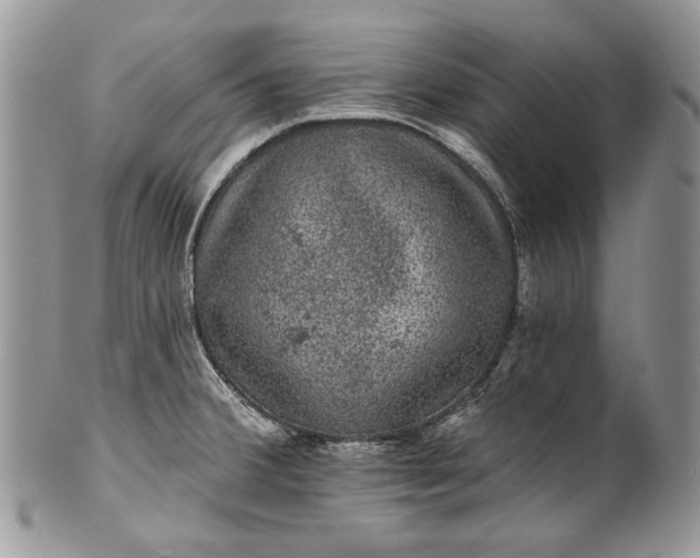 X0000101971380200808011121