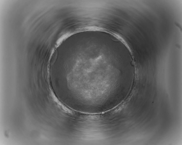 X0000101971381200808011121