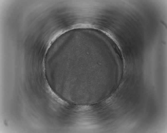X0000101971382200808011121