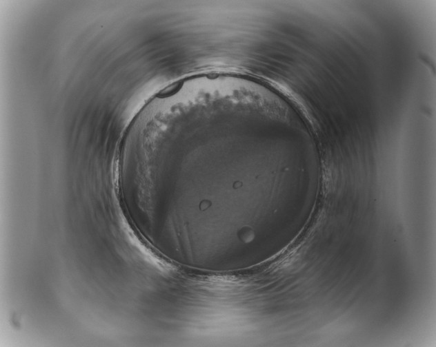 X0000101971383200808011121