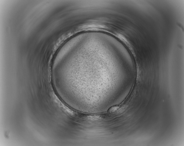 X0000101971384200808011121
