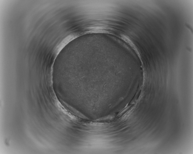 X0000101971386200808011121