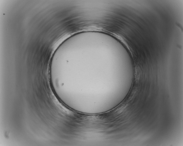 X0000101971387200808011121