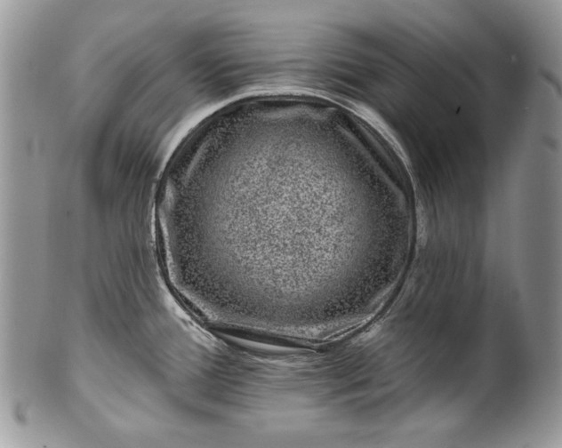 X0000101971388200808011121