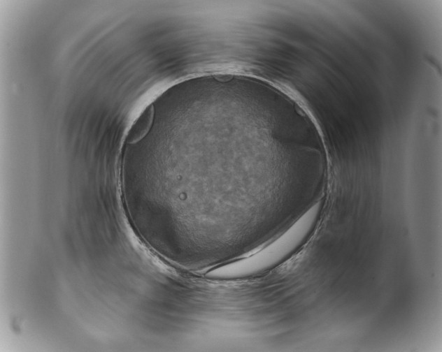X0000101971389200808011120
