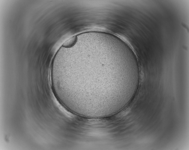 X0000101971391200808011120