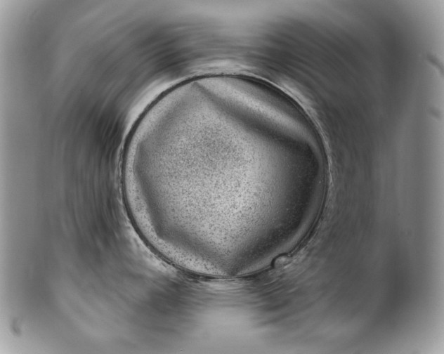 X0000101971392200808011120
