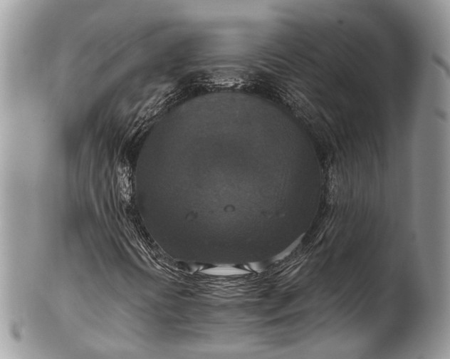 X0000101971394200808011120