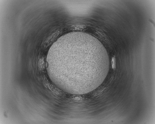 X0000101971395200808011120