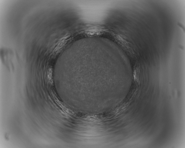 X0000101971396200808011120