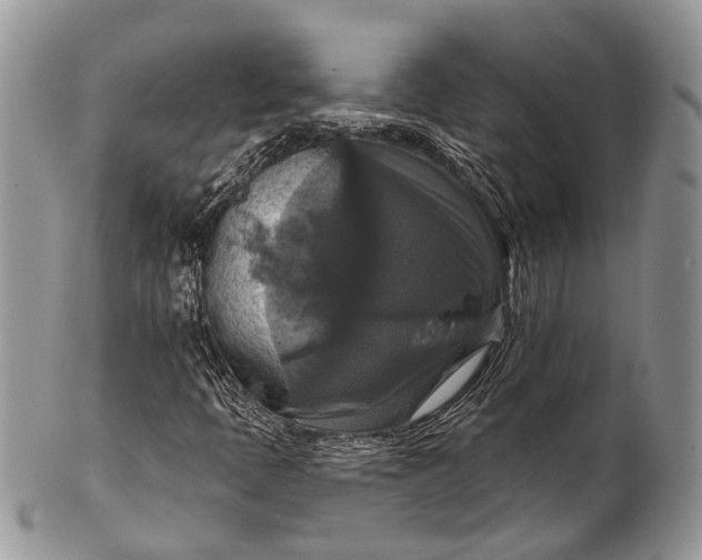 X0000101971397200808011120