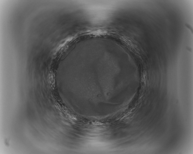 X0000101971398200808011120