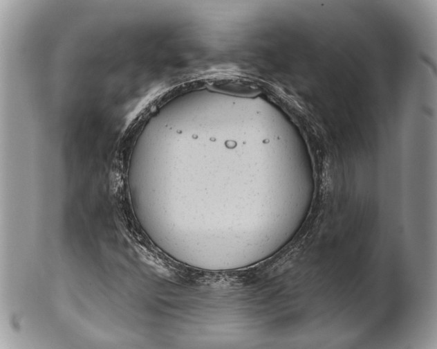 X0000101971400200808011120