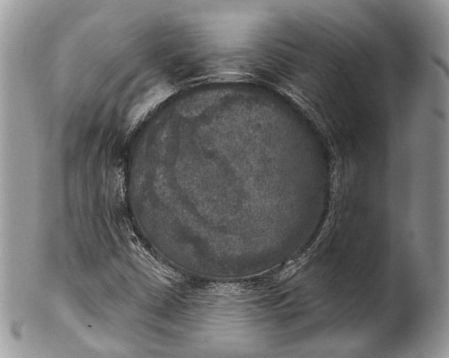 X0000101971402200808011120