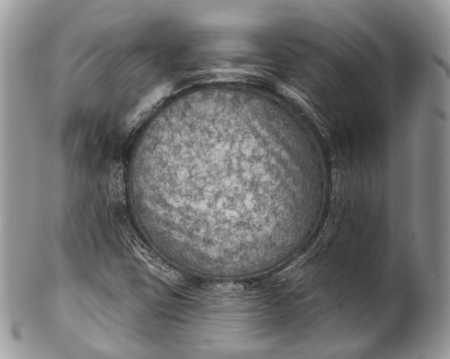 X0000101971403200808011120