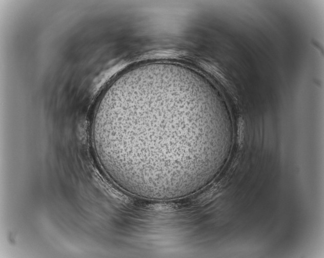 X0000101971404200808011120