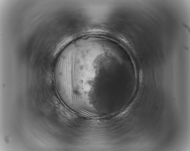 X0000101971405200808011120