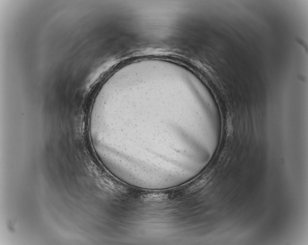 X0000101971406200808011120