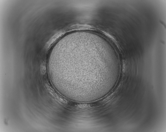 X0000101971407200808011120