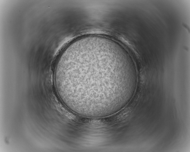 X0000101971408200808011120