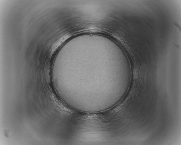 X0000101971410200808011120