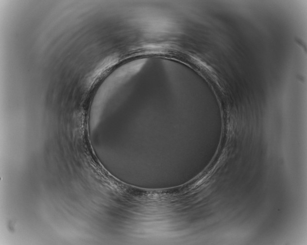 X0000101971411200808011120