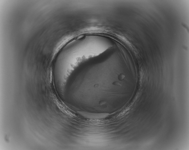 X0000101971413200808011120