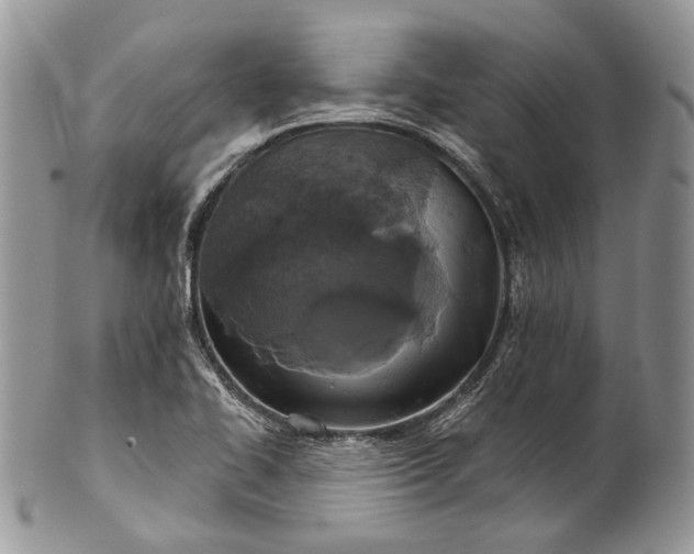 X0000101971414200808011120