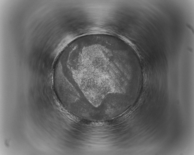 X0000101971415200808011120