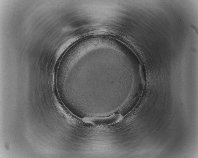 X0000101971418200808011120