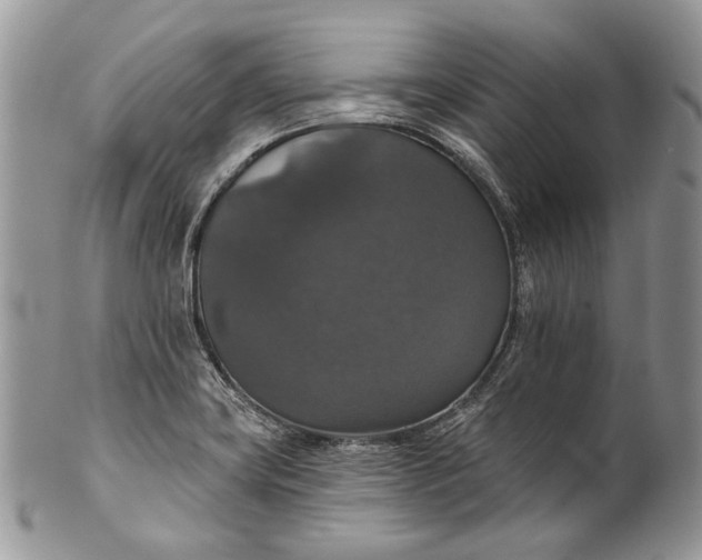 X0000101971419200808011120