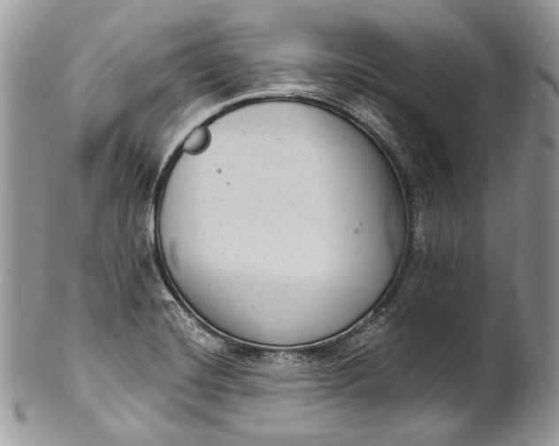 X0000101971420200808011120