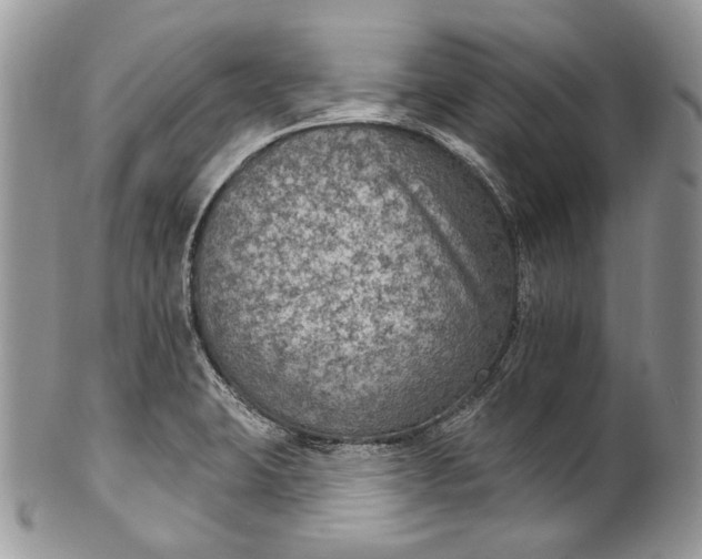 X0000101971423200808011120