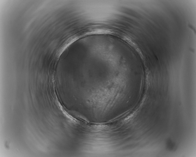 X0000101971425200808011120