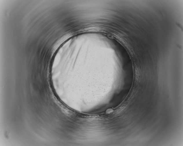 X0000101971426200808011120