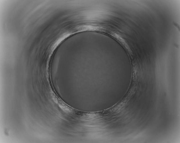 X0000101971427200808011120