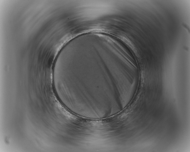 X0000101971428200808011120
