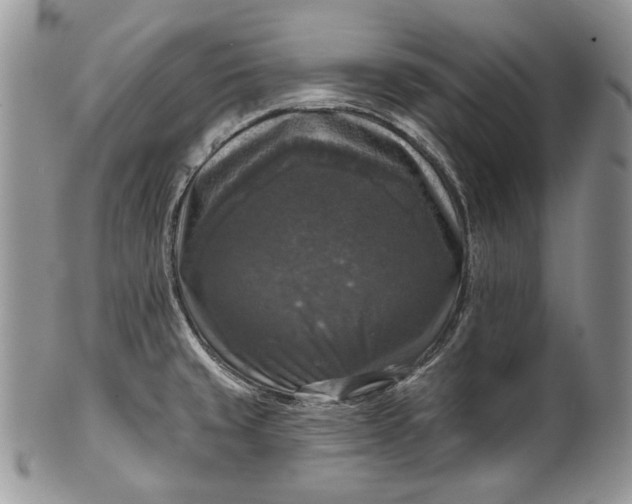 X0000101971429200808011120