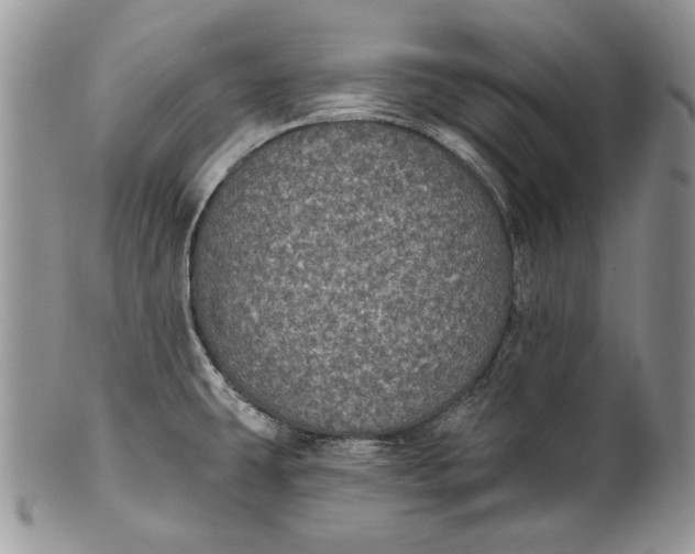 X0000101971431200808011120