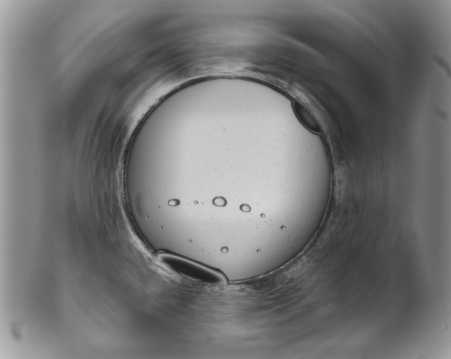 X0000101971432200808011120
