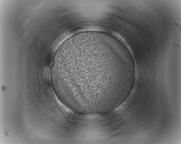 X0000101971433200808011120