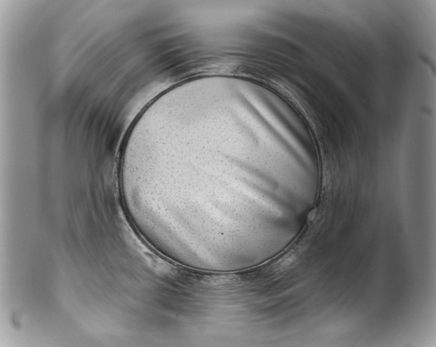 X0000101971434200808011120