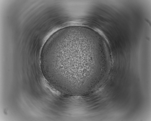 X0000101971435200808011120