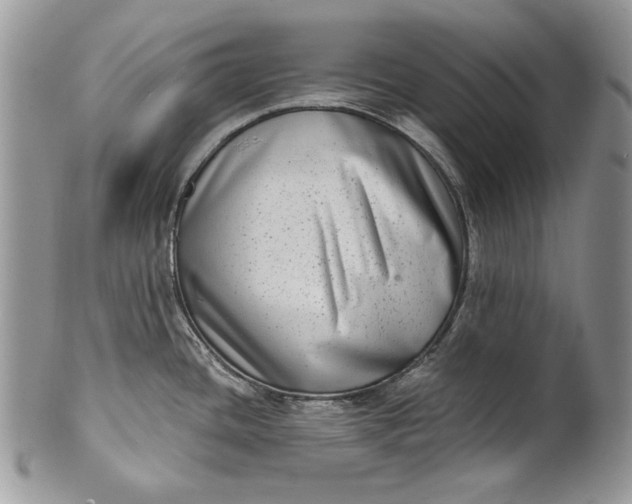 X0000101971436200808011120