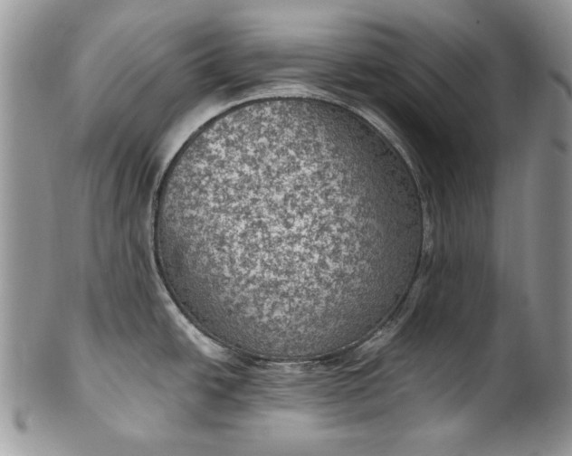 X0000101971438200808011120