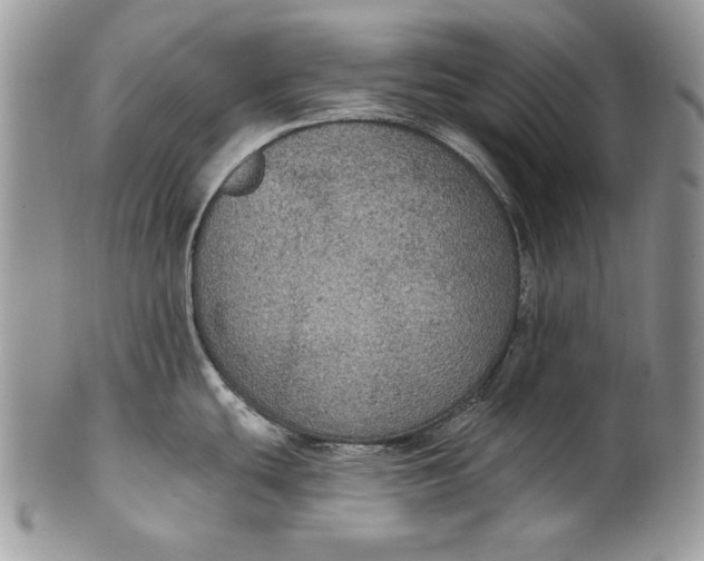 X0000101971439200808011120