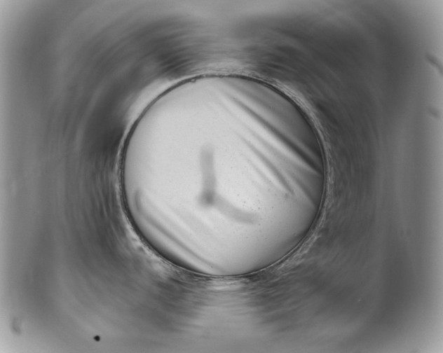 X0000101971440200808011120
