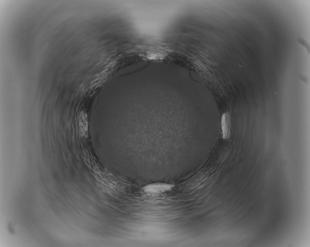 X0000101971443200808011120