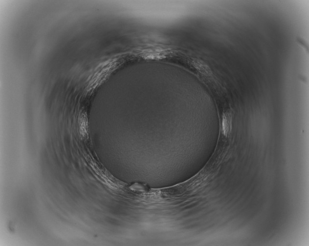 X0000101971444200808011120