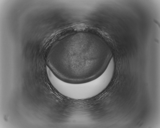 X0000101971445200808011120